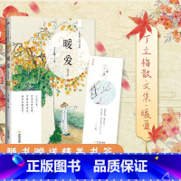 暖爱(修订版) [正版] 丁立梅散文作品集全套书籍 丁立梅十年散文集 暗香暖爱遇见 风会记得一朵花香向着美好奔跑等等待绽