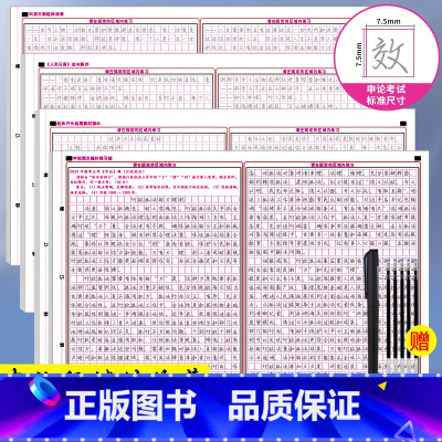 [行楷]申论字帖全套4本-赠魔法笔套装 [正版]行楷申论字帖练字帖行楷国考省考公务员考试2024省考控笔训练开头结尾热点