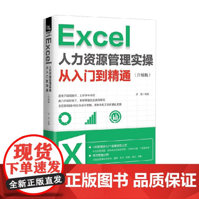 Excel 人力资源管理实操从入门到精通 齐涛 著 人力资源管理