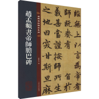 音像赵孟頫书帝师胆巴碑孙宝文 编