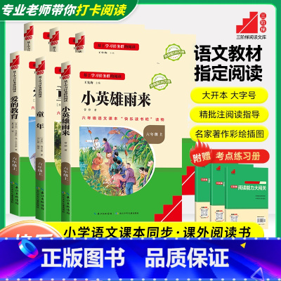 [六年级下]全套3册❤️赠考点手册 小学通用 [正版]爱的教育小英雄雨来童年全套3册快乐读书吧六年级必读书上册下册小学生