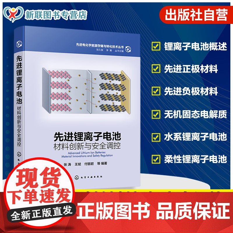 先进锂离子电池 材料创新与安全调控 先进电化学能源存储与转化技术丛书 新能源电池技术书籍 动力电池系统设计手册 电化学教