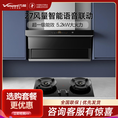 万和(Vanward)27m³顶侧双吸烟机WL970pro+JZY-01-B9S 5.2KW燃气灶液化气灶具家用烟灶套装