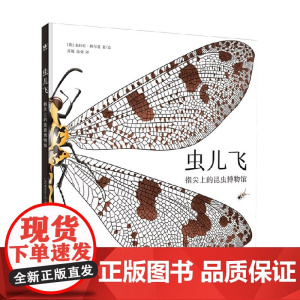 虫儿飞 指尖上的昆虫博物馆 7-10岁 克拉拉·科尔曼 著 科普百科