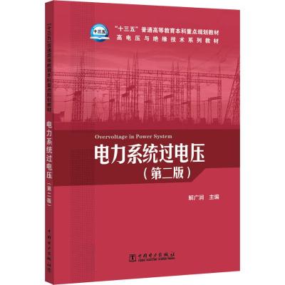 “十三五”普通高等教育本科重点规划教材 高电压与绝