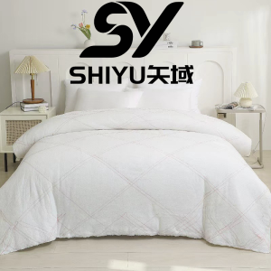 矢域保暖被子加厚羽绒被芯抗菌防螨柔软亲肤双人冬被四季通用
