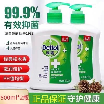 滴露洗手液健康抑菌洗手液经典松木500g*2 护肤干燥家用