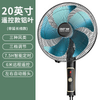 先科电风扇台式家用台扇定时学生宿舍风扇摇头办公室 20寸铝叶遥控款