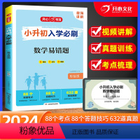 数学易错题 小学升初中 [正版]2024版小升初入学必刷数学易错题人教版 小学六6年级下册数学专项强化训练真题卷总复习辅