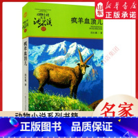 疯羊血顶儿 [正版]书店 疯羊血顶儿 动物小说大王沈石溪·品藏书系 中/小学生阅读少儿读物 儿童文学