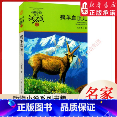 疯羊血顶儿 [正版]书店 疯羊血顶儿 动物小说大王沈石溪·品藏书系 中/小学生阅读少儿读物 儿童文学