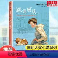 遇见奥兹(注音版) [正版]兔子坡注音版二年级/ 大奖小说 6-7-8-9-10-12岁一二三四年级小学生课外阅读物图书