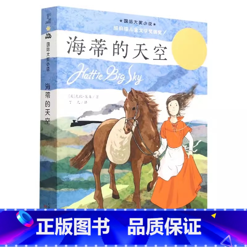 海蒂的天空 [正版]海蒂的天空纽伯瑞国际大奖儿童文学小说系列全套集升级版小学生三四五六年级课外阅读经典书籍新蕾出版社目常