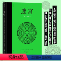 [正版]迷宫 62座真实和想象的手绘迷宫 地理迷宫设计艺术绘本 人文历史指南书籍 书店 书籍