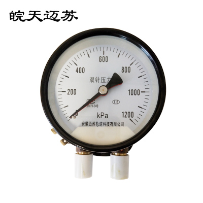 皖天迈苏YCS100带照明双针压力表径向型