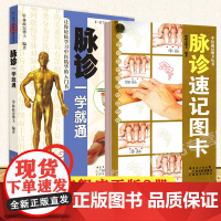 [2册]脉诊一学就通+脉诊速记图卡 彩图脉诊教程 脉诊书籍 图解脉诊 中医脉诊 脉诊速记手册 中医脉诊临床图解