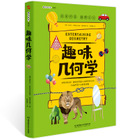音像趣味几何学/趣味科学系列雅科夫·伊西达洛维奇·别莱利曼