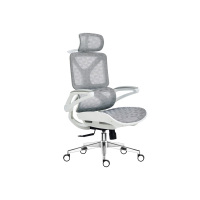 臻远 ZY-8942 办公椅人体工学椅转椅 白框 单位:把
