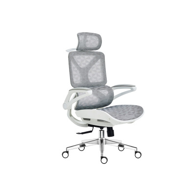 臻远 ZY-8942 办公椅人体工学椅转椅 白框 单位:把