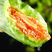 [熊猫鸟]新鲜羊角蜜甜瓜 博洋61号 净重2.8斤