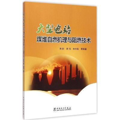 正版新书]大型电站煤堆自燃机理与阻燃技术陈刚9787512370012