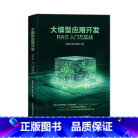 大模型应用开发 RAG入门与实战 大语言模型大模型多模态Prompt提示词工程RAG检索增强生成技术 [正版]大模型应用