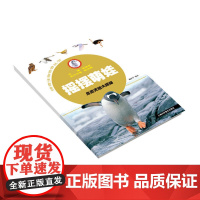 摇摆萌娃——鸟类天地大揭秘