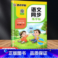 1年级下册 语文同步练字帖 [正版]一年级练字帖上册下册语文字帖人教版同步每日一练小学生生字组词成语生字组词成语笔顺描红