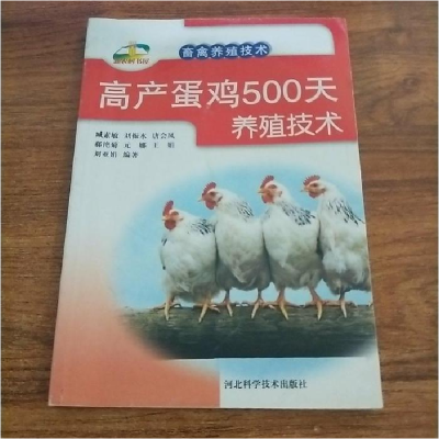 正版新书]畜禽养殖技术-高产蛋鸡500天养殖技术(新农村书屋丛书)