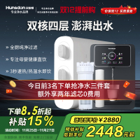 汉斯顿/Hunsdon[国家补贴]家用0阻垢剂净水器管线机套装厨下式净饮机RO反渗透净水机过滤器母婴直饮厨房纯水机D3