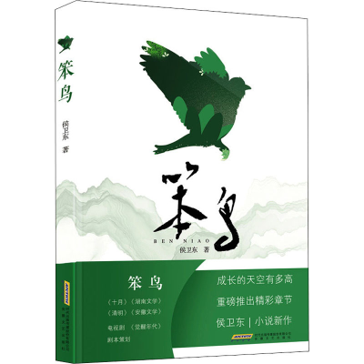 醉染图书笨鸟9787539672670