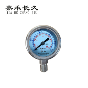 嘉禾长久 压力表检测型 Y50 块