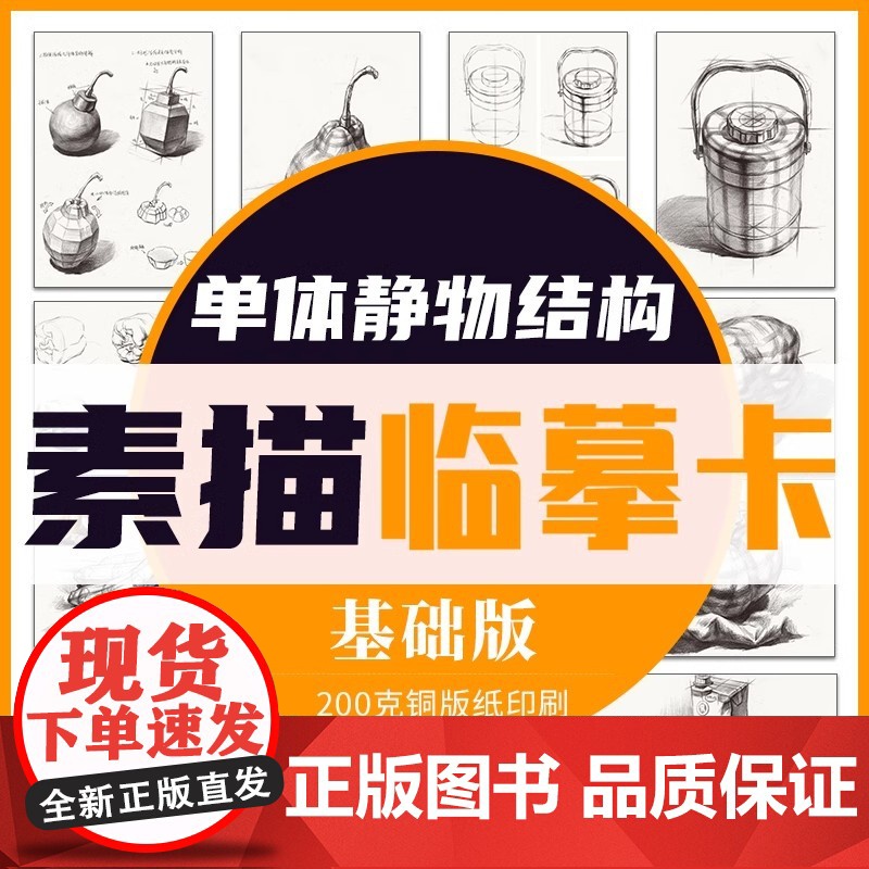 素描单体静物结构临摹卡 基础版 临摹范本单个体结构与明暗静物组合精选绘画创意卡片初学者入门美术教程材书籍一线美誉