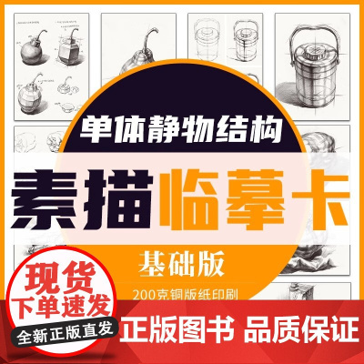 素描单体静物结构临摹卡 基础版 临摹范本单个体结构与明暗静物组合精选绘画创意卡片初学者入门美术教程材书籍一线美誉