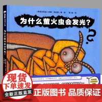 为什么萤火虫会发光? 魔法象 图画书国 广西师范大学出版社 绘本 图画书少儿动漫书 科普读物 儿童科普 趣味轻科普图画书