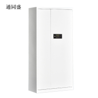 通同盛文件柜电子密码锁财务档案柜保险柜资料柜铁 通体密码锁