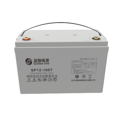 圣阳电源 蓄电池 SP12-100T 只
