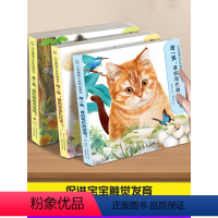 触摸书合集[共4册] [正版]小手摸摸大自然触摸书 幼儿早教触摸绘本1岁半宝宝婴儿书0-2-3岁撕不烂感官刺激训练玩具书