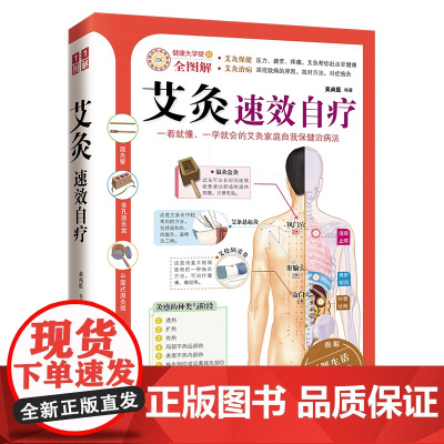 艾灸速效自疗 压力 疲劳 疼痛 艾灸帮你赶走亚健康 深