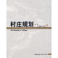 正版新书]村庄规划张泉9787112105892