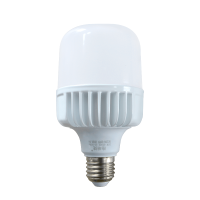 格瑞捷 LED灯泡 Φ80-20W只