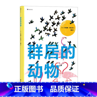 单本全册 [正版] 群居的动物 3-6岁鲱鱼火烈鸟海豚动物科普绘本 童书