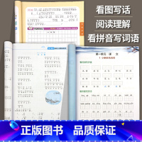 看拼音+看图写话+阅读[3本] [正版]二年级上册语文同步练习册全套 人教版专项训练 看拼音写词语 看图说话写话 课内课