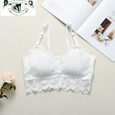 HLCOMAN蕾丝吊带小背心内搭裹胸打底防走光性感抹胸无钢圈美背内衣女学生抹胸