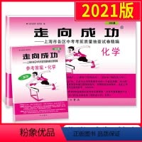 [正版]2021版走向成功二模化学 上海中考化学二模卷子 试卷+答案2册套装 上海市各区县初三第二学期考前抽查试卷精编