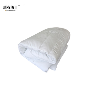 越衣纺工 被芯 2500g 190*150