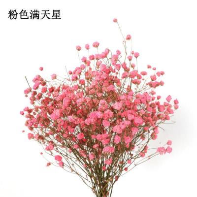 敬平ins风干花花束家居摆设小清新客厅插花网红装饰品满天星永生花一束满天星粉色