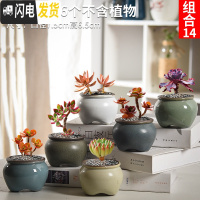 三维工匠多肉花盆套装组合粗陶透气复古陶瓷小盆创意肉肉花盆 卡其色组合14 中等花盆容器