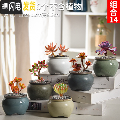 三维工匠多肉花盆套装组合粗陶透气复古陶瓷小盆创意肉肉花盆 卡其色组合14 中等花盆容器