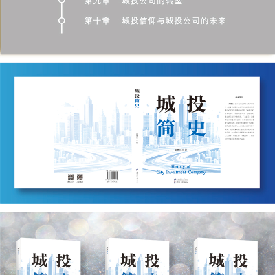 正版新书]城投简史苑德江 著9787564245375